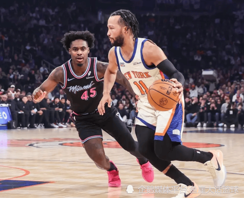 rookie多大 rookie多大